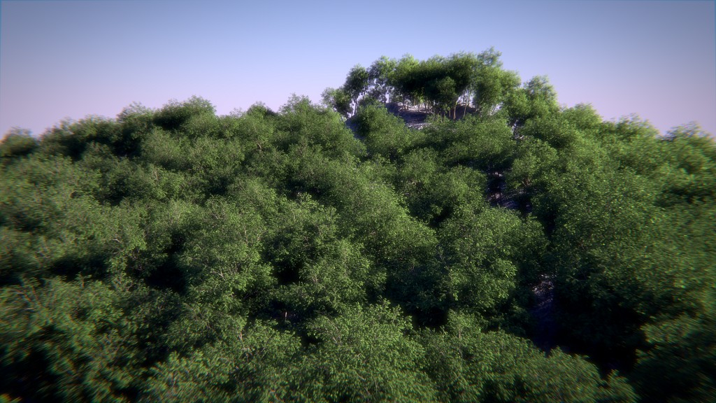 Realistic Forest with Cycles preview image 1